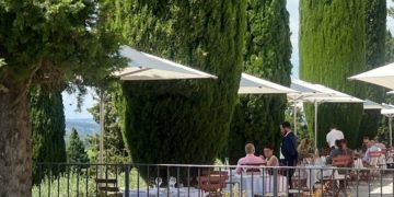 Première alerte aux pollens à Toulouse