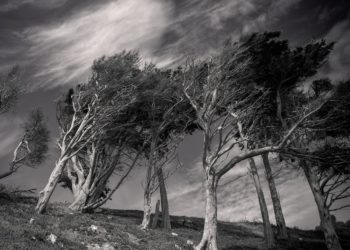 cyclone Belal - La Réunion reste en alerte maximum