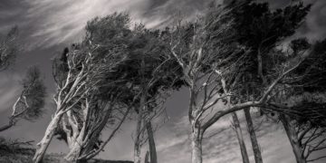 cyclone Belal - La Réunion reste en alerte maximum