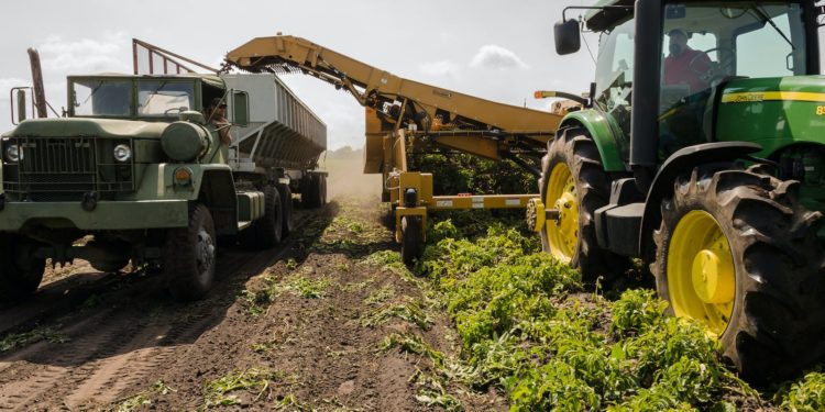 Colère des agriculteurs pourquoi la norme « 4 % de jachère » fait débat