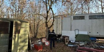 Près de Toulouse, les Gendarmes découvrent une orchidée protégée dans une décharge