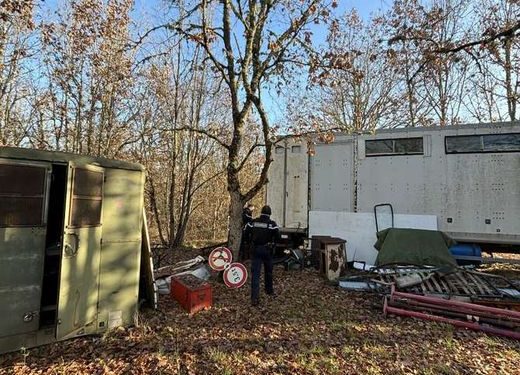 Près de Toulouse, les Gendarmes découvrent une orchidée protégée dans une décharge