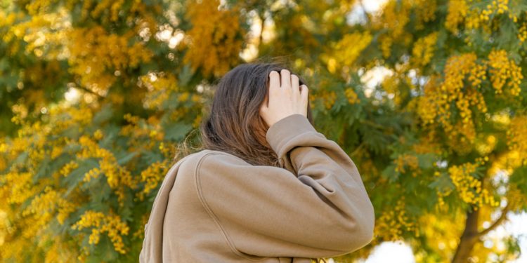 Allergie, des alertes maximum très précoces en Haute Garonne