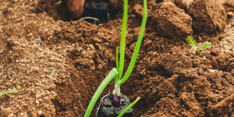 Colère des agriculteurs : Un appel à la levée des blocages suite aux annonces du gouvernement