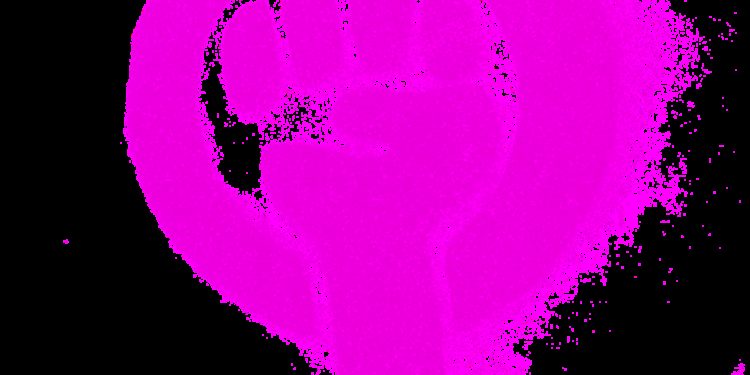 IVG dans la Constitution : le texte authentifié par le sceau du Congrès