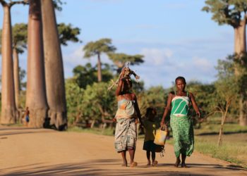 Au sud de Madagascar, des filles sont vendues en mariage avant leur naissance