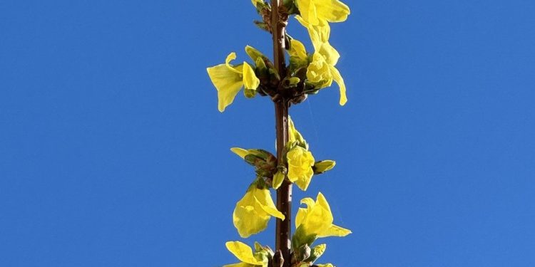 Avant un changement météo, qualité de l'air dégradée ce vendredi à Toulouse