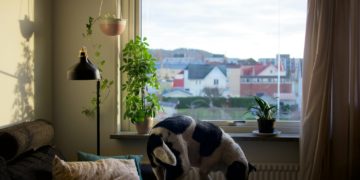 APL. Les aides au logement bientôt réduites ?