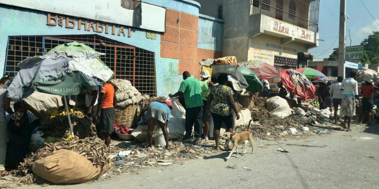 Haïti - face à la violence, un embargo sur les armes et une force armée internationale sur place