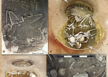 Tortures, sacrifices humaines, des chercheurs toulousains percent un mystère vieux de 5000 ans