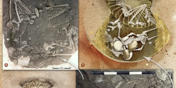 Tortures, sacrifices humaines, des chercheurs toulousains percent un mystère vieux de 5000 ans