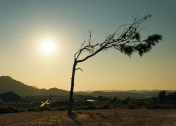 Records de températures ce samedi 6 avril dans le sud ouest