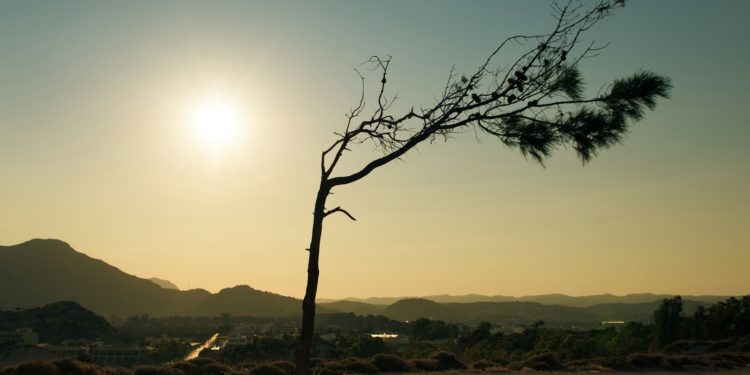 Records de températures ce samedi 6 avril dans le sud ouest