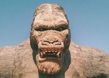 « Godzilla x Kong : Le Nouvel Empire » ; « Ducobu passe au vert » : les sorties cinéma