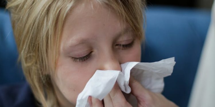 Alerte rouge aux pollens de graminées à Toulouse et dans toute la Haute Garonne