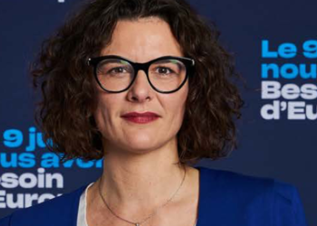 Européennes : l'Occitanie grande oubliée de la liste Hayer