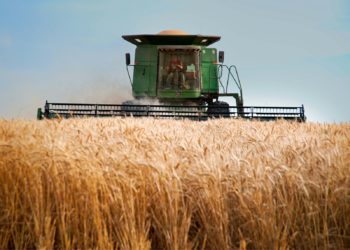 Fin de vie, agriculture, ces projets de loi abandonnés après la Dissolution