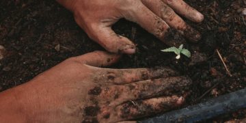 Opération coup de poing des jeunes agriculteurs