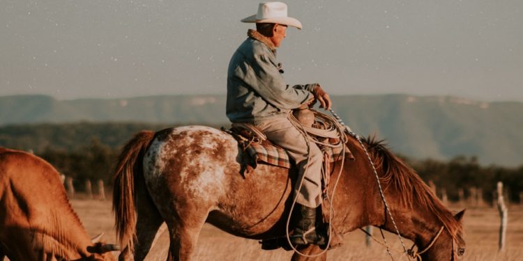 Auteur des affiches de Rambo, Nikita ou Terminator, Renato Casaro invité à Toulouse