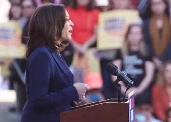 Face à Trump, Harris officiellement investie par le parti démocrate