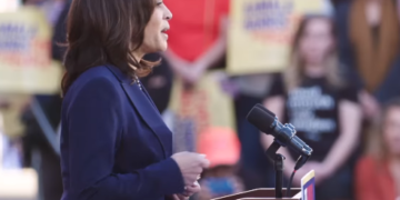 Face à Trump, Harris officiellement investie par le parti démocrate