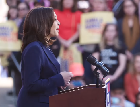 Face à Trump, Harris officiellement investie par le parti démocrate