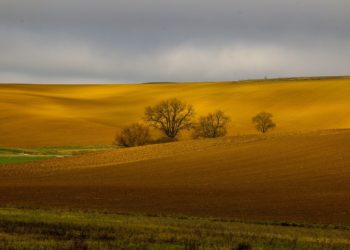 Météo France place le Gers en alerte vigilance aux orages
