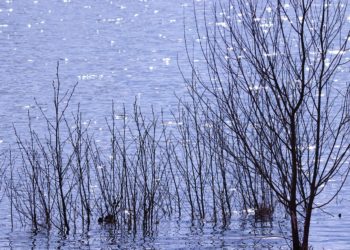 Plus de 250 morts dans des inondations au Nigéria