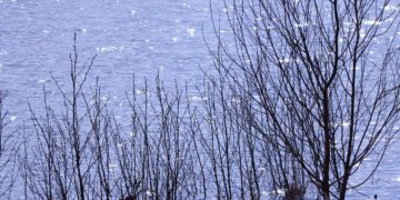 Plus de 250 morts dans des inondations au Nigéria