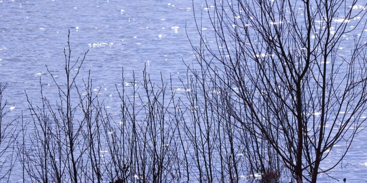 Plus de 250 morts dans des inondations au Nigéria