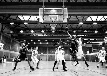 Basket. « J'ai toujours rêvé d'entraîner l'équipe de France », savoure Frédéric Fauthoux