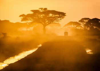 L’Afrique est confrontée à une charge disproportionnée liée au changement climatique