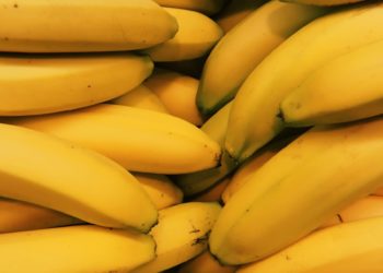 Les bananes risquent-elles vraiment de disparaître?