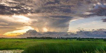 Ouragan Milton : la Floride ravagée par des tornades