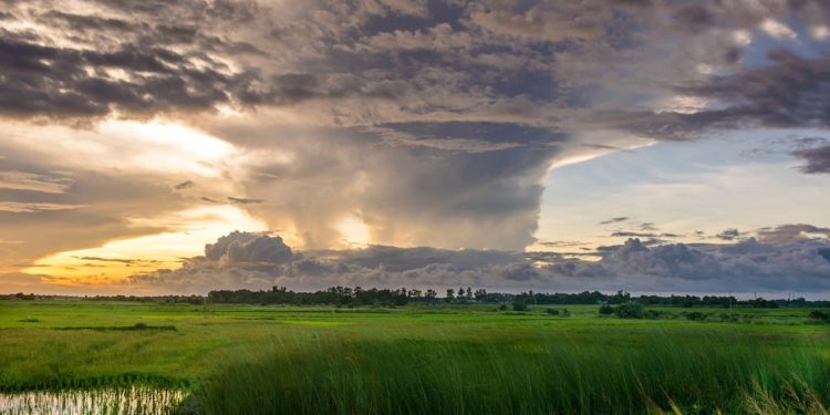 Ouragan Milton : la Floride ravagée par des tornades