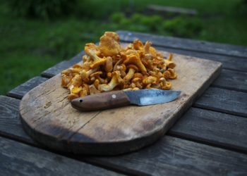 Des champignons vénéneux vendus sur un marché du Sud de la France