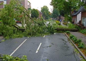 Vents violents annoncés mercredi dans le sud ouest au delà de 100 km/h