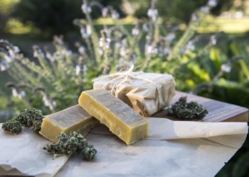 Cannabis - un grossiste toulousain interpellé