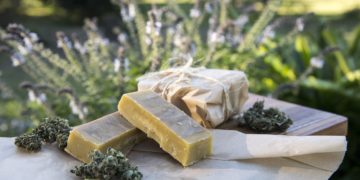 Cannabis - un grossiste toulousain interpellé