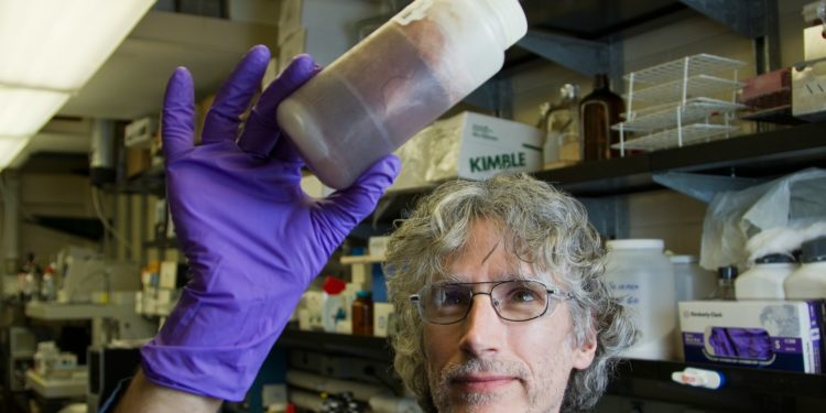 Contre le cancer, des salariées donnent leurs cheveux