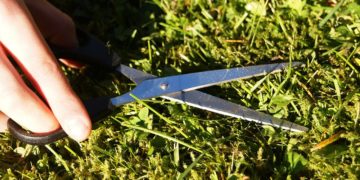 Le meilleur moment pour tondre sa pelouse avant l’hiver