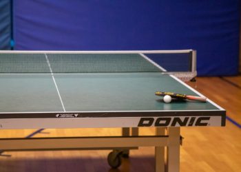 Les Frères Lebrun en piste pour les championnats d'Europe de tennis de table