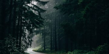 Météo France étend l'alerte vigilance orange, crues inondations au Pyrénées Atlantiques, au Tarn ou l' Aveyron