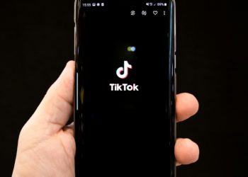 Ce tapis enterré dans un jardin passionne TikTok