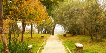 Vents violents, la mairie de Toulouse ferme parcs et jardins