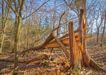 Tempête Floriane, vigilance orange et des trains à l'arrêt