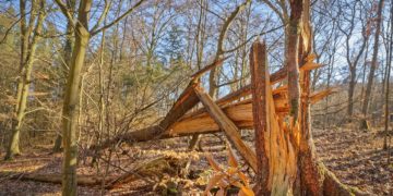 Tempête Floriane, vigilance orange et des trains à l'arrêt