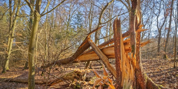 Tempête Floriane, vigilance orange et des trains à l'arrêt