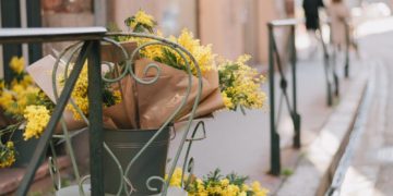 Une météo de Printemps pour le début des vacances de février à Toulouse