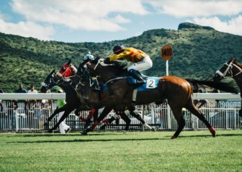 Toulouse - Il mise 2 euros sur une course de chevaux et gagne plus de 180 000 !